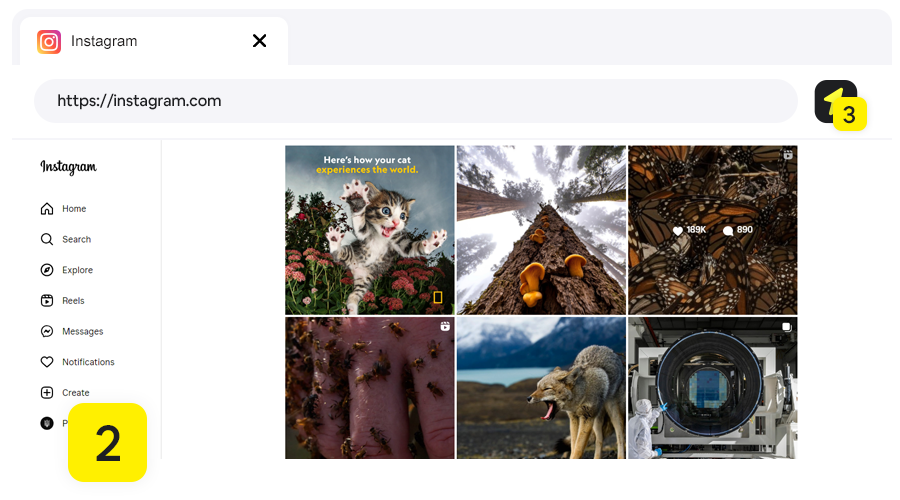Instagram Video Downloader, Step 2 - Open Instagram video page