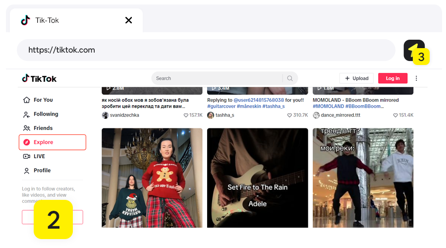 TikTok Video Downloader, Step 2 - Open TikTok video page