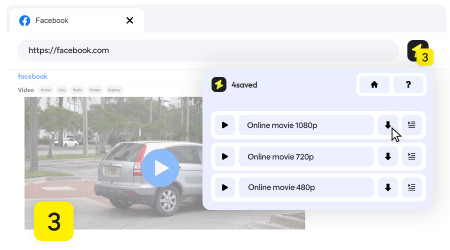 Facebook Video Downloader, Step 3 - Select the download item