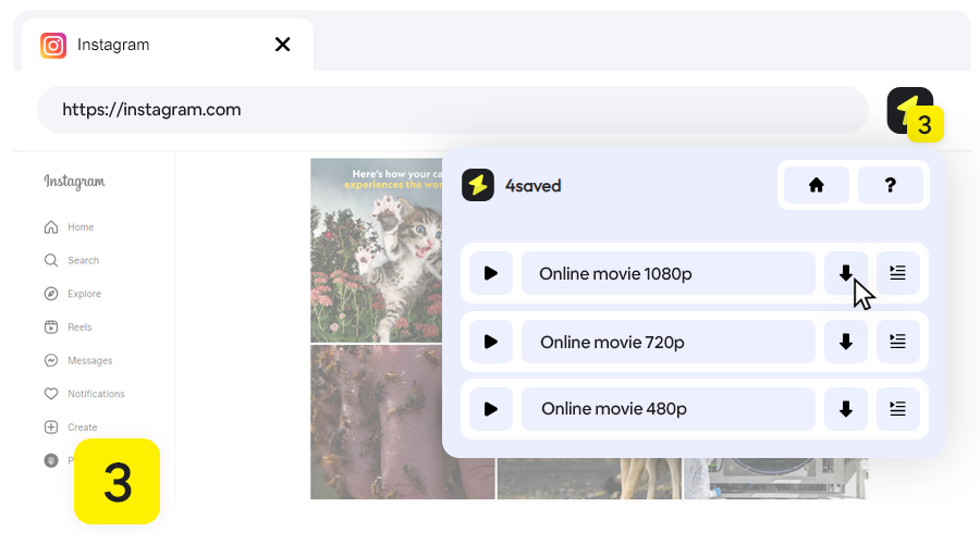 Instagram Video Downloader, Step 3 - Select the download item