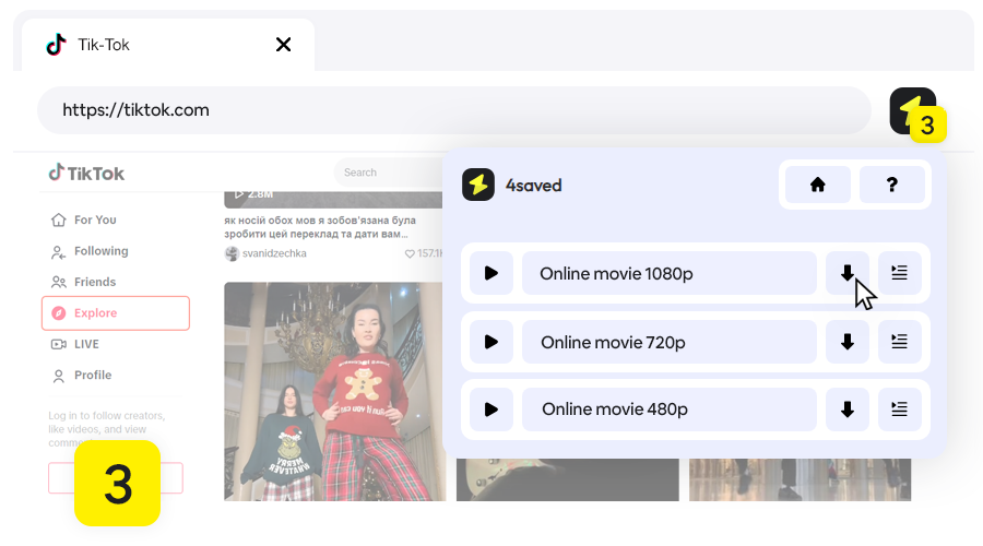 TikTok Video Downloader, Step 3 - Select the download item