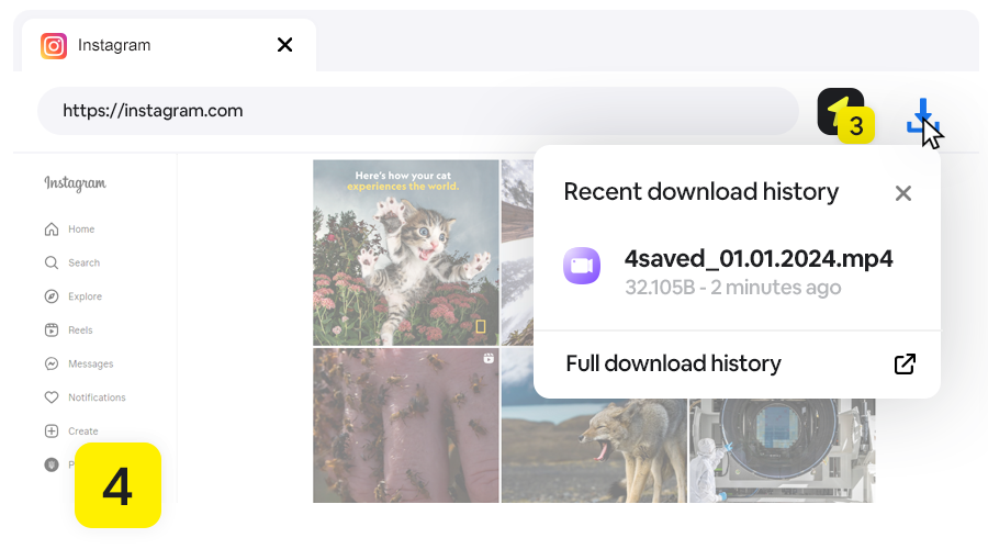 Instagram Video Downloader, Step 4 - Done, video download complete